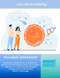 Статьи